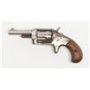 Image 2 : Defender spur trigger revolver, .30 cal., 2-1/2”  round barrel, nickel finish, wood grips, #NVSN  sh