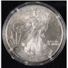 Image 1 : 1996 SILVER EAGLE