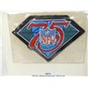 Image 3 : LOT 2 NFL ANNIVERSARY PATCHES
