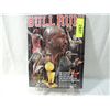 Image 1 : NEW BULL RUN BOOK STORY OF 1995-96 CHICAGO BULLS