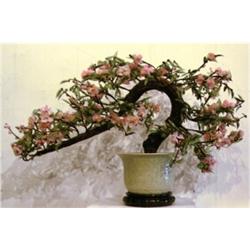 Decorative Arts: Chinese Tree...