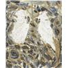 Image 1 : Hunt Slonem (b. 1951) American...
