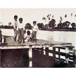 1906 RARE STEREOVIEW PHOTOGRAPH OF HAWAII