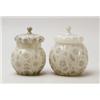 Image 1 : FINDLAY ONYX COVERED JAR.  
