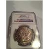 Image 1 : 1902-O COLORED COIN MS-65 NGC DETAILS