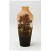 Image 1 : SIGNED GALLE CAMEO VASE.  