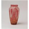 Image 1 : STEUBEN ACID CUT BACK CLUTHRA VASE.  