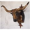 Image 1 : 2- Jay Contway bronzes, Steer Heads, 20/100, 11" h x 10" w x 10" d