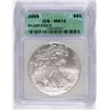 Image 1 : 2005 SILVER AMERICAN EAGLE ICG MS-70