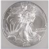 Image 2 : 2005 SILVER AMERICAN EAGLE ICG MS-70