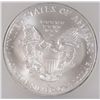 Image 3 : 2005 SILVER AMERICAN EAGLE ICG MS-70