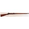 Image 1 : Springfield 1873 Trap Door .45-70