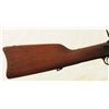 Image 2 : Modelo Argentino 1879 Musket