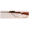 Image 2 : Mexican Rifle. 243 With Scope