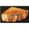 Image 4 : Petrified Wood Book Ends