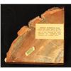 Image 5 : Petrified Wood Book Ends