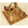 Image 2 : Pheasant Taxidermy Mount