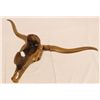 Image 4 : Figural Brass Cow Scull