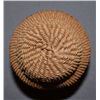 Image 6 : KLAMATH/MODOC BASKET