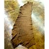 Image 1 : Elk Hide