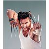 Image 6 : X-Men 2: Hugh Jackman