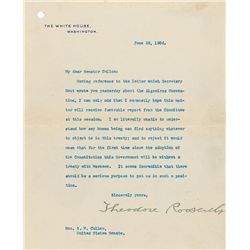 Theodore Roosevelt