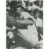 Image 2 : Baltimore Orioles