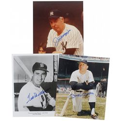 Mantle, DiMaggio, and Williams