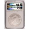 Image 4 : 2006-W AMERICAN SILVER EAGLE, NGC MS-69