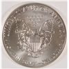Image 2 : 2013 AMERICAN EAGLE SILVER DOLLAR