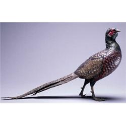 BERGMAN COLD-PAINTED BRONZE STUDY OF A COCK PHEASANT, realistically detailed and painted in colou...