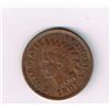 Image 1 : 1901 Indian Head Penny
