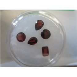 Gem jar filled with 5 assorted cut garnets