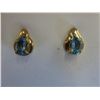 Image 1 : 10KT New Yellow Gold Blue Topaz earrings