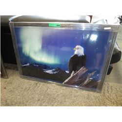 "Eagle" framed print