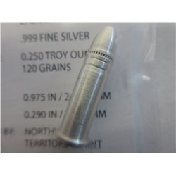 Solid Silver 0.22 Caliber Bullet