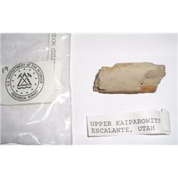 PETRIFIED WOOD SPECIMAN APPROX 2 INCHES LONG *U.S. DEPT. OF THE INTERIOR*!! ITEM CAME OUT OF SAFE BO