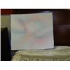 Image 1 : FRAMED OIL ON CANVASS - COTTON CANDY DISASTER
