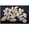 Image 1 : LOT OF 760 CTS SOUTH AFRICAN CITRINE TUMBLED 22 PCS