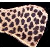 Image 2 : Antique Cheetah Fur Collar The piece is an early a