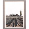 Image 2 : Michael John Hunt, Artist Proof, Asparagus Field T