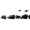 Image 8 : Shoshone Basin Idaho Obsidian Arrowhead Collection
