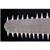 Image 2 : Sawfish Bill This lot features a sawfish bill. It