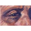 Image 8 : Native American Cheif by Severo Enrique Zavaleta T