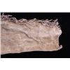 Image 5 : Shoshone Child's Leggings circa 1890 The lot featu