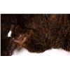 Image 2 : Buffalo Hide This lot features half a hide from a