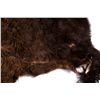 Image 3 : Buffalo Hide This lot features half a hide from a