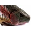 Image 3 : Rainbow Trout Chainsaw Carving