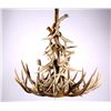 Image 1 : Lighted Antler Chandelier This lot features an ant
