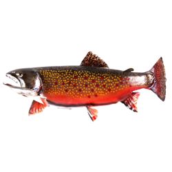 Montana Brook Trout Mount This lot features a Mont